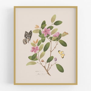 Stampa artistica di fiori e farfalle botaniche cinesi