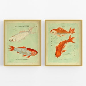 Chinese Koi Fish Art Prints - Set of Two