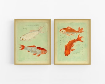 Set of Two Koi Fish Art Prints / Vintage Art / Botanical Art / Art Print / Chinese Art / Koi Art / Asian Art / Wall Decor / Art