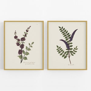 Carolina Flower Botanical Art Prints - Set of Two