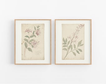 May include: Two framed botanical prints featuring delicate watercolor illustrations of flowering branches on a cream background.