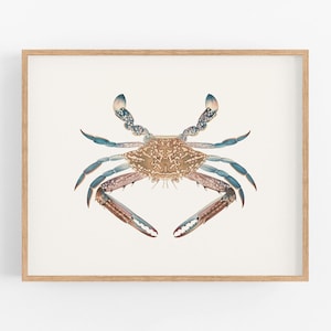 Blue Crab Watercolor Coastal Style, Beach Decor Art Print