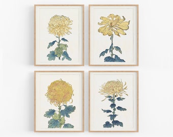 Estampados de flores de crisantemo japonés estilo chinoiserie en amarillo - Juego de cuatro