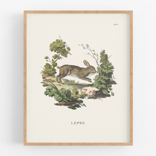 Bunny Art Print: Lepre / Bunny Art / Storybook Art / Botanical Art / Wall Decor / Nursery Art / Fairy Tale Art / Baby Art / Nursery Decor