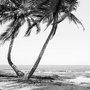 Tulum Mexico Beach Photo / Beach Photos / Black and White - Etsy