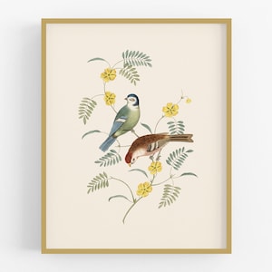 Finch and Robin Art Print / Bird Art / Children's Art / Botanical Art / Storybook Art / Nursery Art / Fairy Tale Art / Baby Art / Wall Art