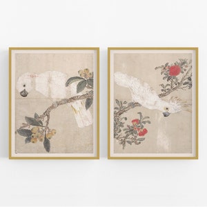 Conjunto de dos láminas artísticas de loros japoneses / Arte vintage / Láminas botánicas / Lámina artística / Arte japonés / Arte de loros / Lámina artística de aves / Decoración de pared