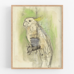 Colorful Parrot Drawing in Yellows and Greens Art Print