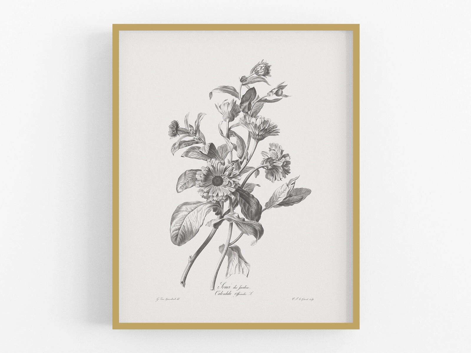 油絵 ミニ絵画【マリーゴールド】 ミニ絵画【マリーゴールド】 油絵