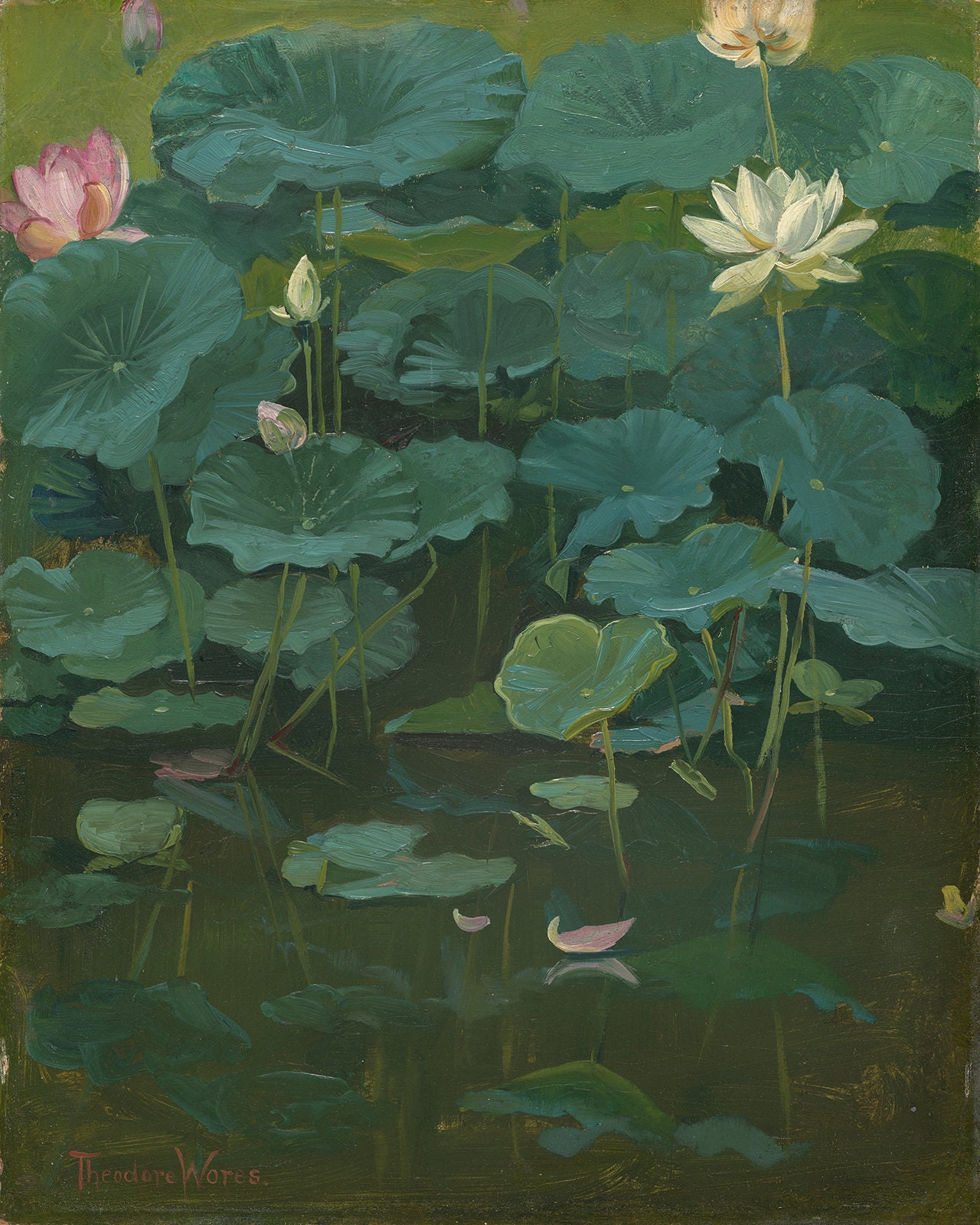 蓮の花の絵画アートプリント / 睡蓮の絵画 / 絵画 / 花のアート / 花の
