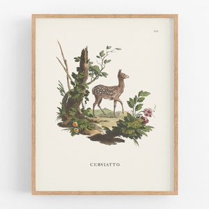 Baby Deer Art Print / Fawn Art / Storybook Art / Botanical Art / Wall Decor / Nursery Art / Fairy Tale Art / Baby Art / Nursery Decor