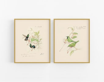 Watercolor Bird Sketch Art Prints - Set of Two / Hummingbird Art /  Bird Art / Botanical Art / Wall Decor / Nursery Art / Bird Art