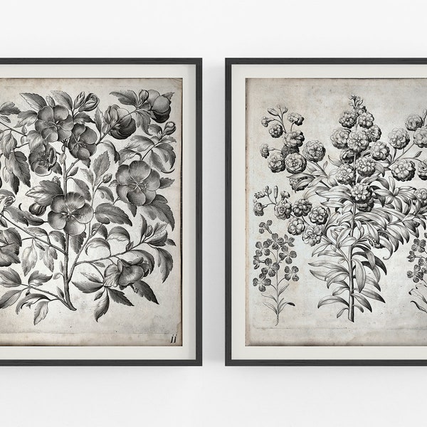 Botanical Prints Black White Etsy