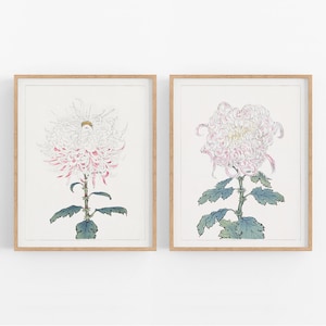 Set of Two Japanese Chrysanthemum Flower Prints /  Print / Botanical Prints / Art Print / Chrysanthemum Art / Flower Art / Wall Decor