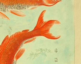 最安 読み方 il_340x270.2011927903_kkm4.jpg 絵画
