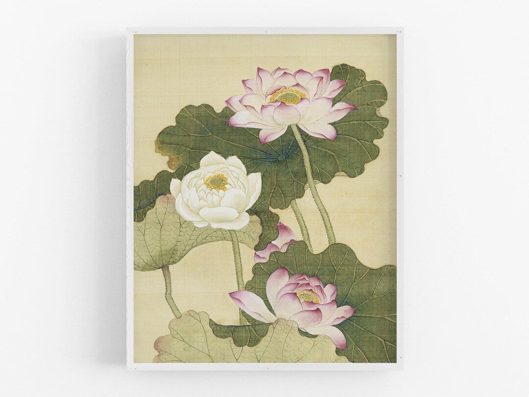 Chinese Pink Lotus Flower Chinoiserie Art Print - Etsy
