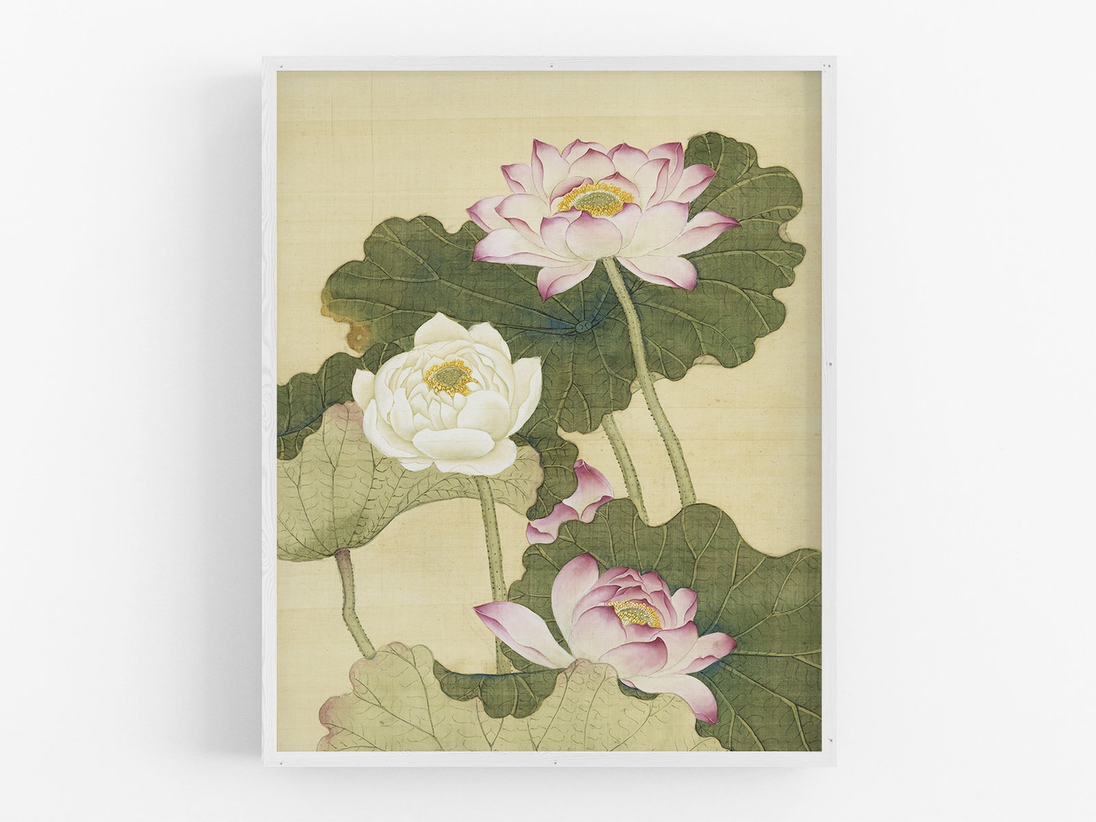 Chinese Pink Lotus Flower Chinoiserie Art Print - Etsy