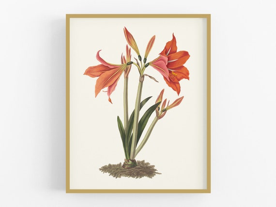 花 アートフラワーブーケ アートフラワー フラワー 花 アマリリス