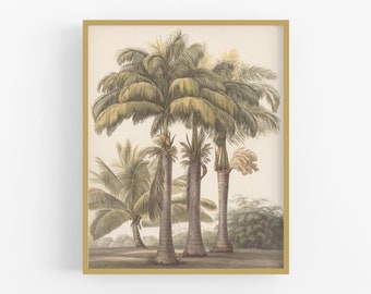 Palm Tree Watercolor Art Print #1 / Tropical Art /  Palm Tree Art / Tropical Watercolor / West Indies Art / Caribbean Art / Beach Art