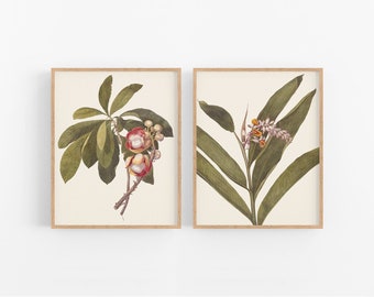 Könnte beinhalten: Zwei botanische Illustrationen in Rahmen. Das linke Bild zeigt eine grüne Pflanze mit roten und weißen Blüten. Das rechte Bild zeigt eine grüne Pflanze mit gelben und weißen Blüten.