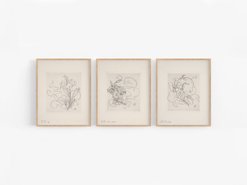 以下が含まれることがあります： 花柄の配置を描いた、黒と白の線画が3つ、額装されています。線画はミニマルなスタイルで、繊細な線と曲線で描かれています。
