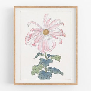 Japanese chrysanthemum flowers art print /  art / japanese art / asian art / chrysanthemum art / pink flower art / wall decor / art