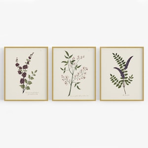 Set of Three Carolina Flower Botanical Art Prints / Flower Drawing / Farmhouse Art / Flower Art / Botanical Art / Nursery Art /  Art