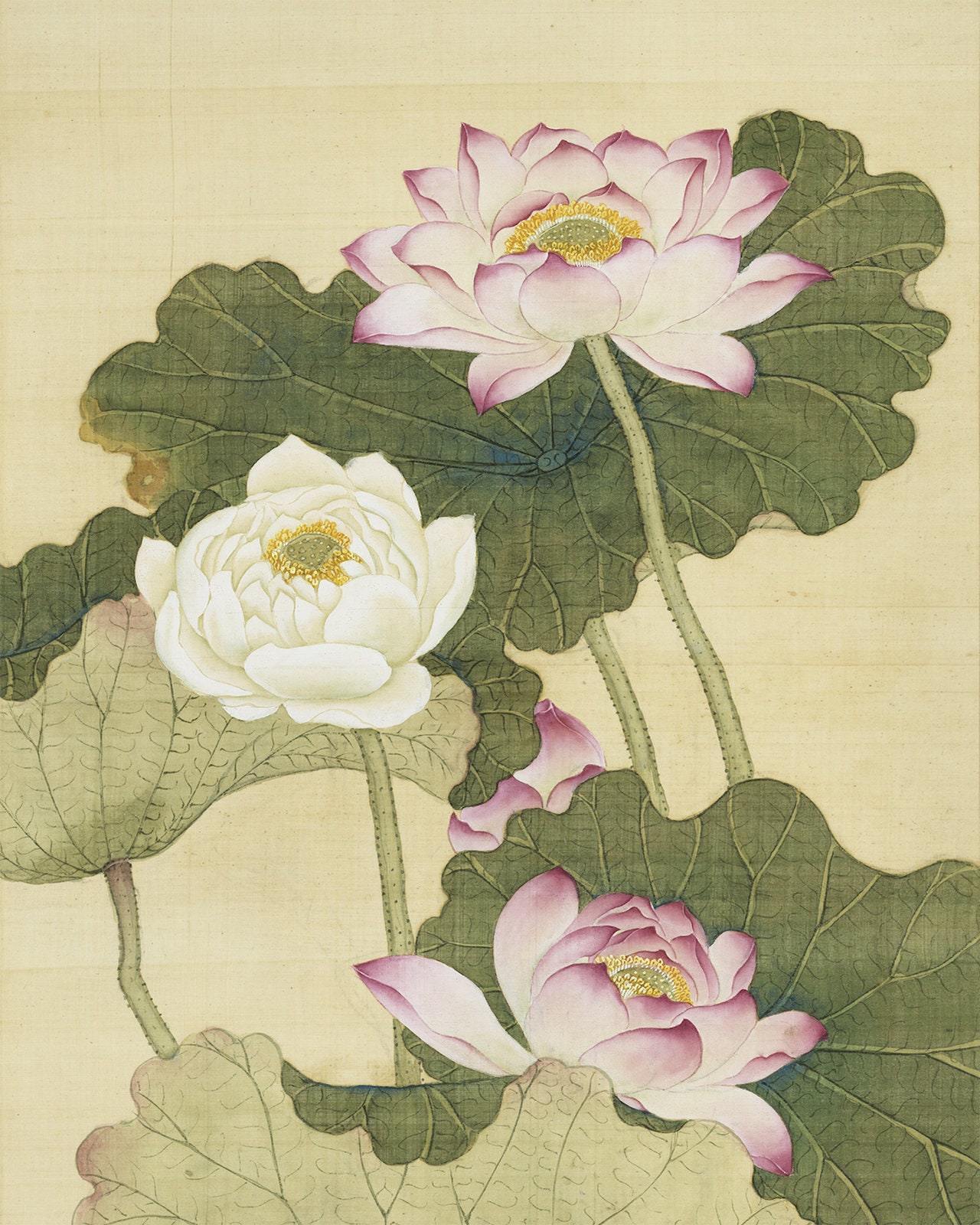 Set of Two Chinese Lotus Flower Chinoiserie Art Prints / Etsy