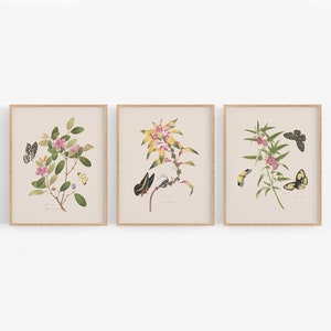 Stampe artistiche di fiori e farfalle botaniche cinesi - Set di tre