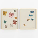 Butterfly Art Prints