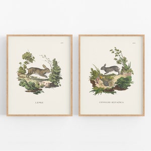 Bunny Art Prints, Set #1 - Set of Two / Bunny Art / Storybook Art / Botanical Art / Woodland Art / Nursery Art / Fairy Tale Art / Baby Art