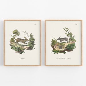 Hasen Wald Märchen Baby Kinderzimmer Kunstdrucke, Set #1 - 2-er Set