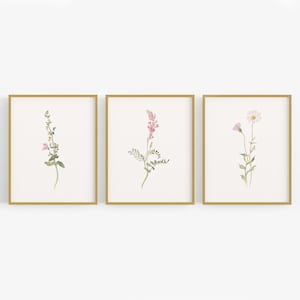Set of Three Pink Wildflower Botanical Art Prints /  Flower Art / Botanical Art / Wildflower Art / Flower Art / Nursery Art / Art