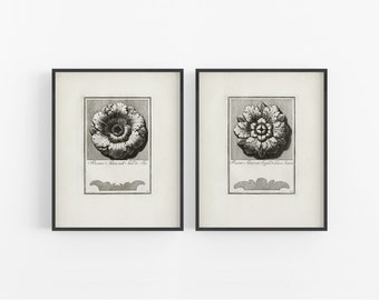 Architectural Ornaments Art Print Set / Vintage Art / Italian Art / Wall Decor / European Art / Art / Architectural Art / Drawing Print