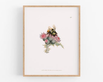 Bumblebee Art Print / Bee Art / Storybook Art / Botanical Art / Bumblebee Art / Nursery Art / Fairy Tale Art / Baby Art / Nursery Decor