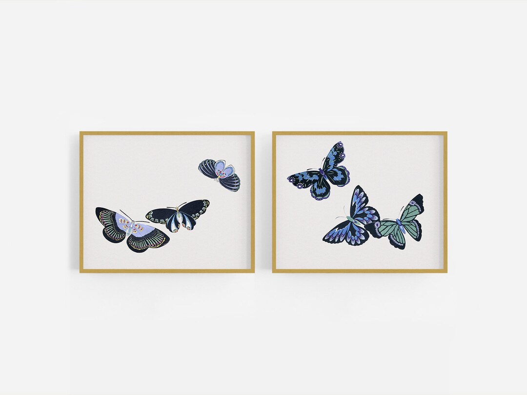 洋書 Butterflies from China, Japan, and Corea il_fullxfull.6447450030_8z7b.jpg