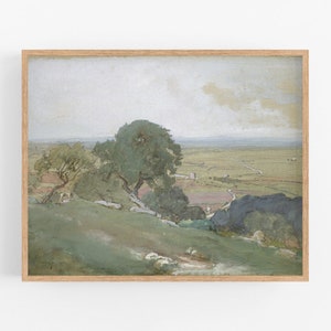 Olive trees /  art / farmhouse decor / european art /  painting /  painting / landscape painting /  scenic
