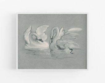 Swans Art Print / Vintage Bird Art / Bird Art / Swan Drawing / Swan Art / Nursery Art / Nursery Decor / Art