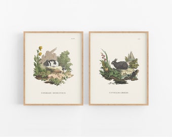 Bunny Woodland Storybook Baby Nursery Art Prints, Set #2 - Set of Two