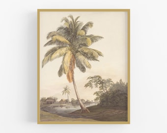Palm Tree Watercolor Art Print #3 / Tropical Art /  Palm Tree Art / Tropical Watercolor / West Indies Art / Caribbean Art / Beach Art