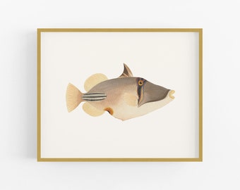 Tropical Fish Watercolor #2, Coastal Style Beach Decor Art Print