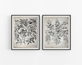 Botaniska blommönster - Konsttryck - Set om två