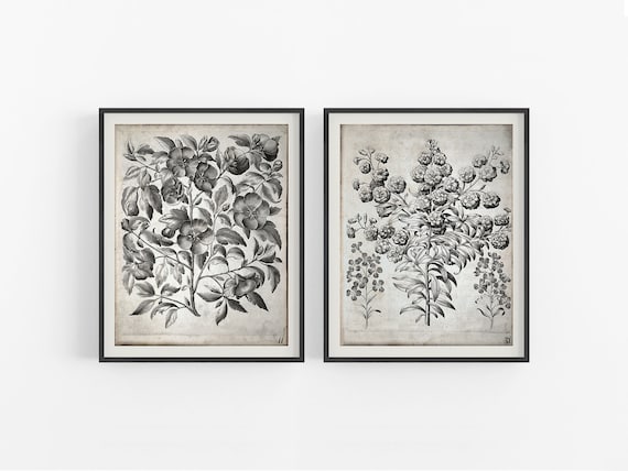 Arte Floral Vintage En Blanco Y Negro