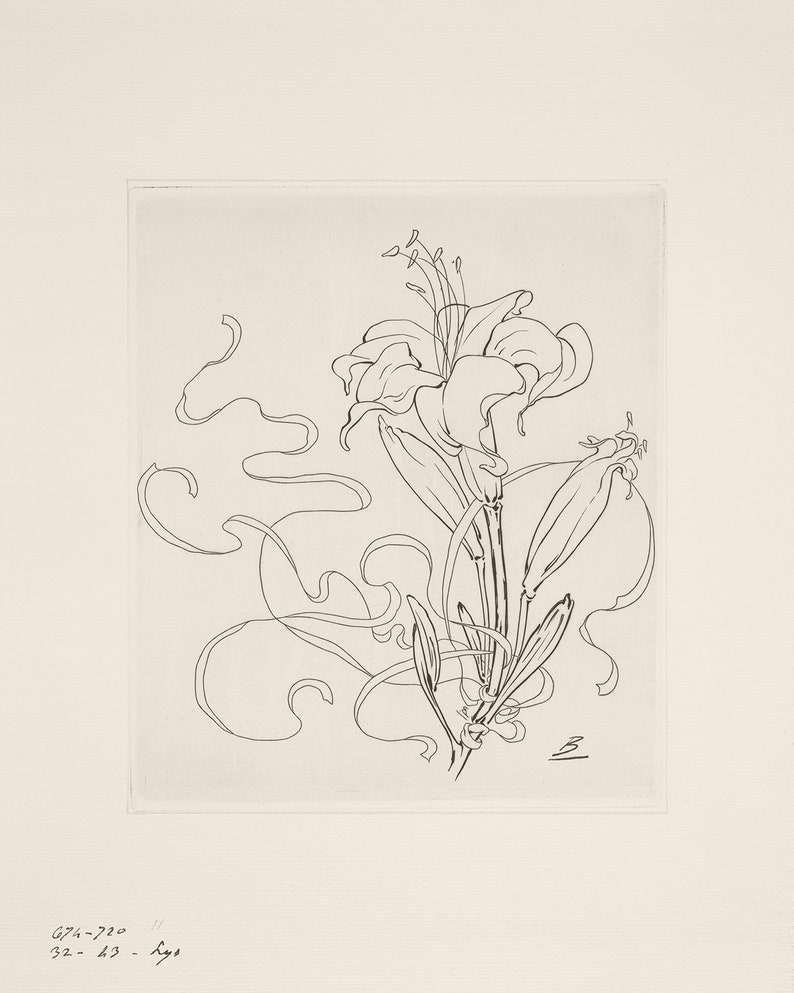 以下が含まれることがあります： 渦巻く茎と葉を持つユリの花の白黒線画です。