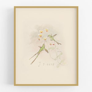 Watercolor hummingbird sketch art print / bird art /  bird art / bird print / botanical art / wall decor / nursery art / art