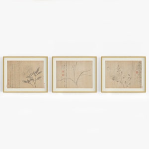 Set of Three Chinese Flower Prints /  Print / Botanical Art / Asian Art / Chinese Art / Flower Art / Chinoiserie / Wall Decor / Art