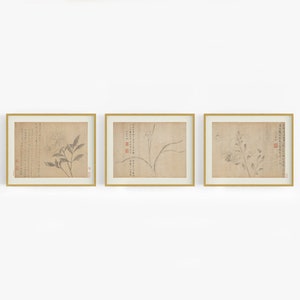 Set of Three Chinese Flower Prints / Vintage Print / Botanical Art / Asian Art / Chinese Art / Flower Art / Chinoiserie / Wall Decor / Art