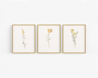 Set of Three Yellow Wildflower Botanical Art Prints / Vintage Flower Art / Botanical Art / Wildflower Art / Flower Art / Nursery Art / Art