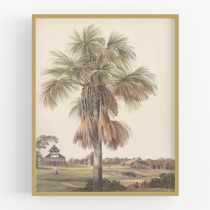 Palm Tree Watercolor Art Print #2 / Tropical Art /  Palm Tree Art / Tropical Watercolor / West Indies Art / Caribbean Art / Beach Art