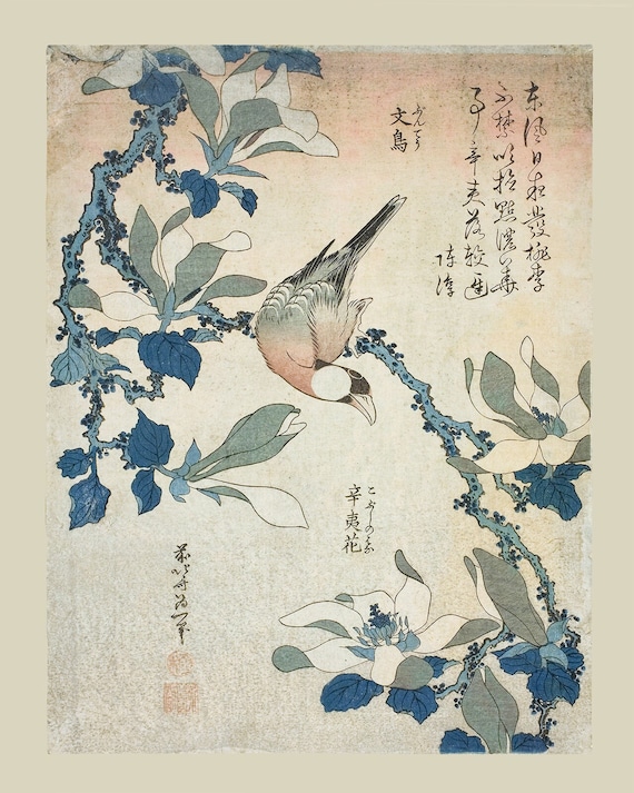 Japanese Flowers Botanical Art Print / Art / Botanical Art